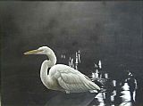 John James Audubon Egret painting